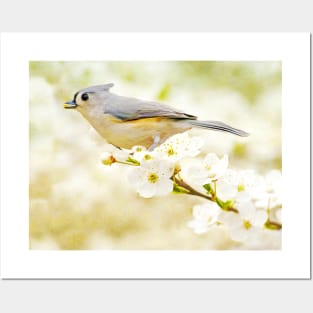 Tufted Titmouse with Seed Posters and Art